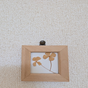 返品不可の朝