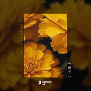 마리골드 (Marigold)