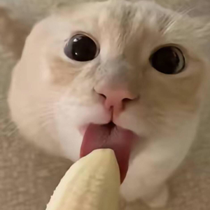 后视镜