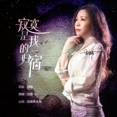 寂寞是我的归宿 (舞曲版)