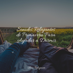 Sonido Relajante
