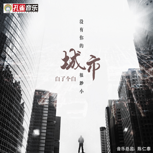 没有你的城市很渺小 (伴奏)