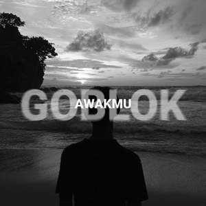 Awakmu Goblok