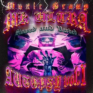 DRAMI (SLOWED & VERBED)