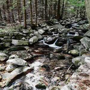 Sounds of Nature - Stream in the Forest