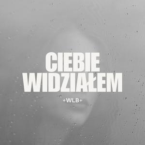 Ciebie widziałem