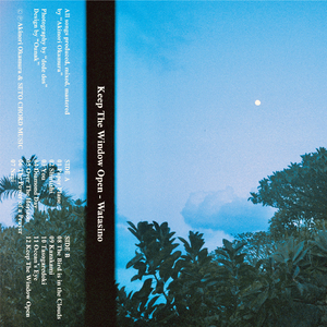 Diamond Day (Alternative Version)