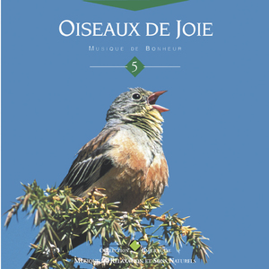 Oiseau du lendemain