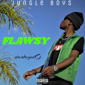 Flawsy (feat. starboyodG)
