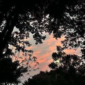 友情多余暧昧未够