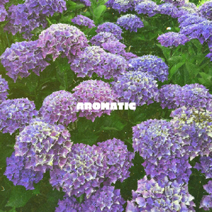 Aromatic