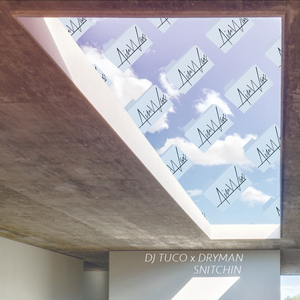 Snitchin (Original Mix)