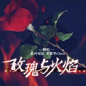 玫瑰与火焰（翻自：雪澈Lin/Babystop_山竹）
