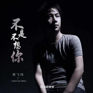 不是不想你（DJ版）