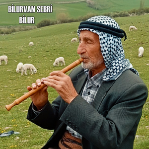 Bilur