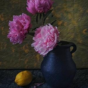 高级爱情故事（片段版）（翻自 Ty.）