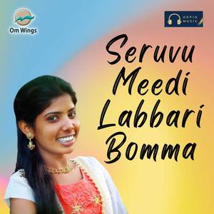 Seruvu Meedi Labbari Bomma