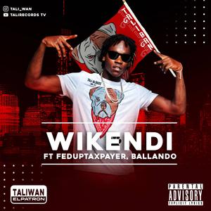 Wikendi (feat. Fed Up Taxpayer)