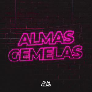 ALMAS GEMELAS (Remix)