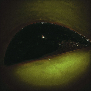 SIPATURAGOGARUTAPIS