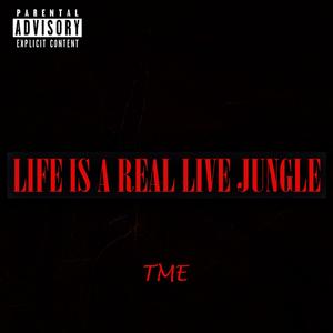 Life Is A Real Live Jungle