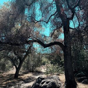 Over The Rapids Of Your Thoughts (feat. Jonathan Caro & Horacio Paris)