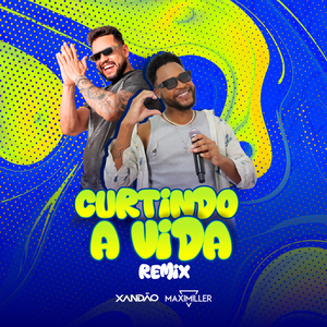 Curtindo a Vida (Remix)