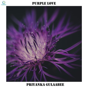 Purple Love