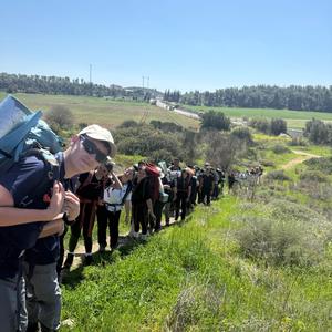 יהלי חלמיש כמו רוח על פני הים