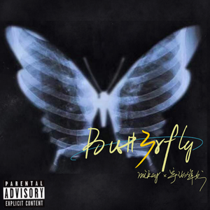 Butt3rfly