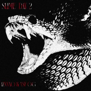 SLIME DAY 2