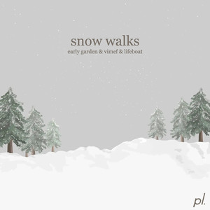 Snow Walks