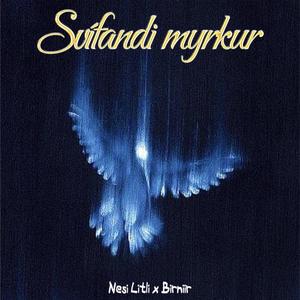 Chrome Hearts (feat. Birniir)