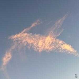 Basic Instructions Before Leaving Earth (feat. RodOfIron) [B.I.B.L.E] (feat. RodOfIron)