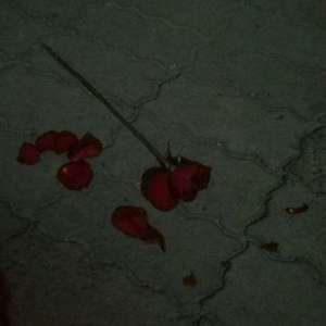 纪念(prod by Treasure_boy)