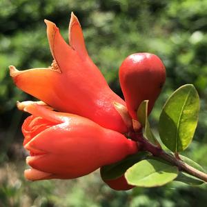 不要错过（小样）