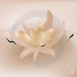 Korea ASMR Drinking (Beer 맥주)