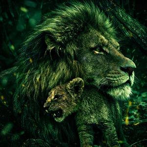 MIO PADRE E' ANCORA GIOVANE