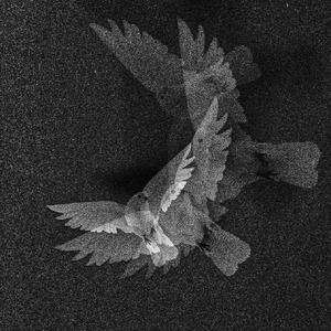 迷茫的信prody by FRESH_ye