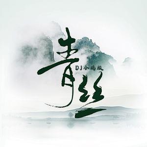 青丝（DJ小瑞版）