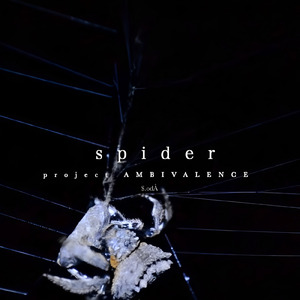 spider