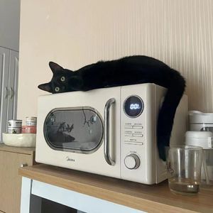 达尔文（cover）