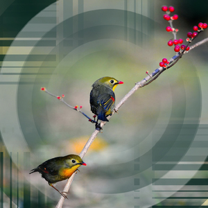 灵动的自然-萨克斯