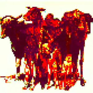 Skin & Bones (Arctic Tundra)