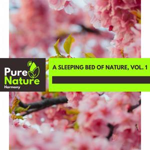 Rapidly Hissing Steam Vent