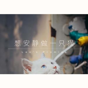 想安静做一只猫