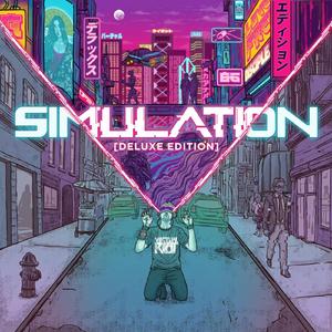 SIMULATION VIP