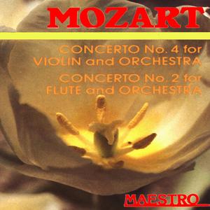 Violin Concerto No. 4 in D Major, K. 218: II. Andante cantabile