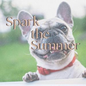 Spark the Summer