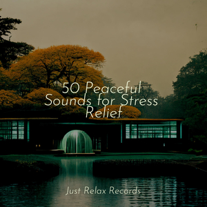 Enchanting Illusion Dance